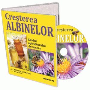 Porniti o afacere in 2013! Optiuni recomandate de specialisti