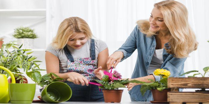 Afacerea familiei tale: cultivarea florilor in ghivece