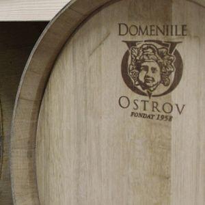 Afaceri de succes in Romania: 7,5 milioane de litri de vin de calitate si planuri de dezvoltare
