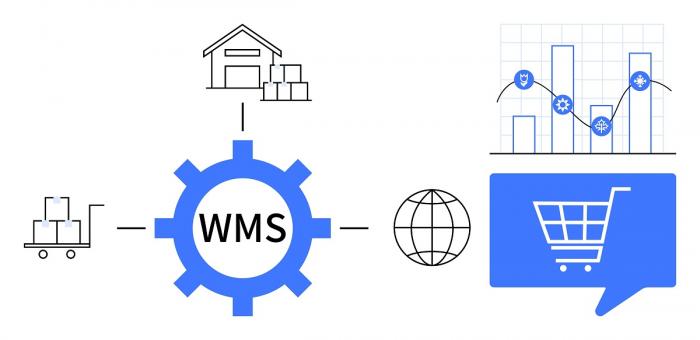 Rolul unui sistem WMS in scalarea afacerilor de e-commerce si retail