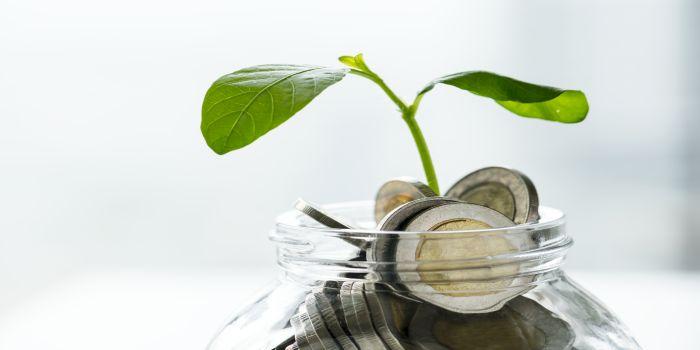 Cele mai bune investitii pe termen lung in 2025: Unde merita sa-ti pui banii