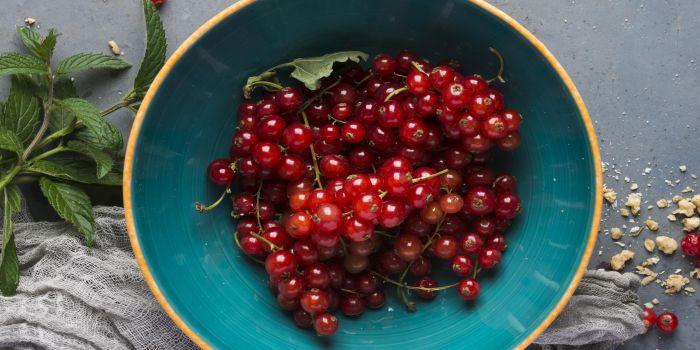 Cultiva un superaliment! Idei de afaceri care merita: cultura de merisor