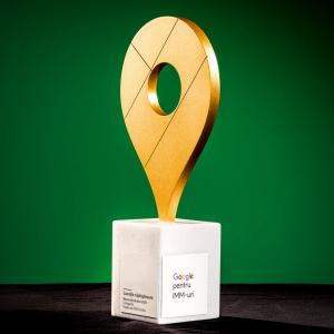 Castigatorii premiului Google 